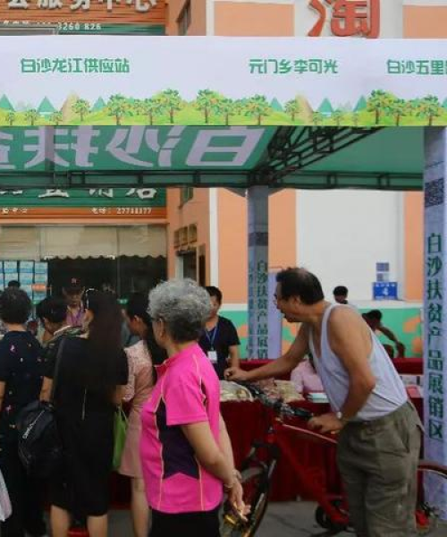 廉江新闻头条白沙，最新动态与数据深度解析