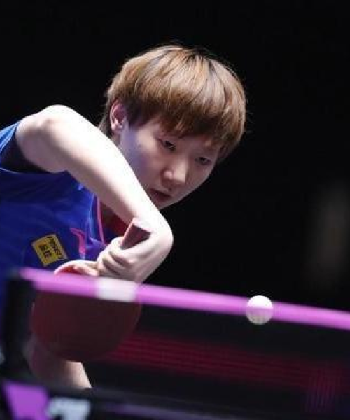 2024澳门天天开好彩免费大全：狗、猪、龙、牛，落实解答