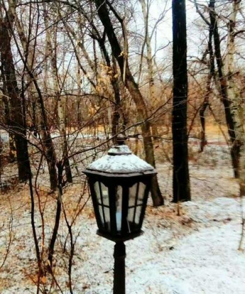扎兰屯今日大雪最新消息