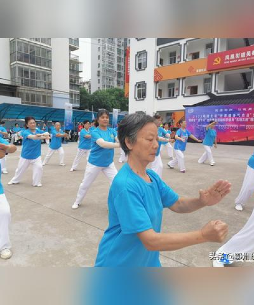 鄂州服饰公司排名及行业分析