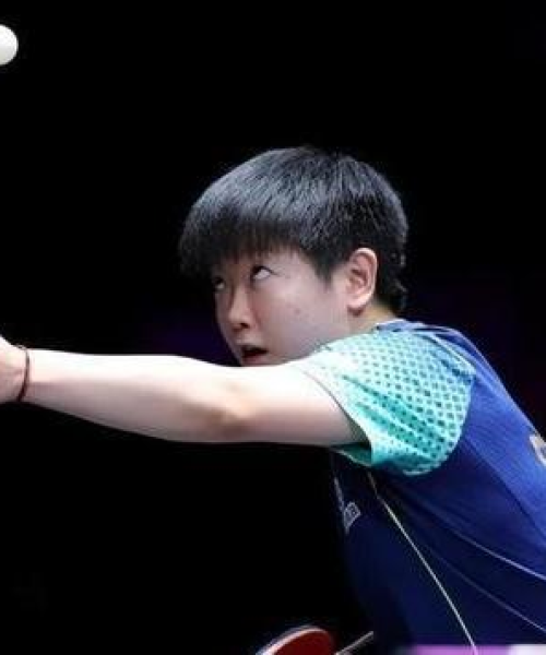 新2024年澳门天天开好彩｜经验分享解答落实