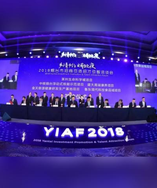 励志女人独白语录，数字背后的坚韧与力量