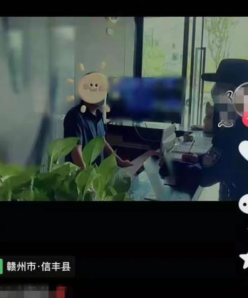 信丰酒店推荐指南，前十名优质酒店排名