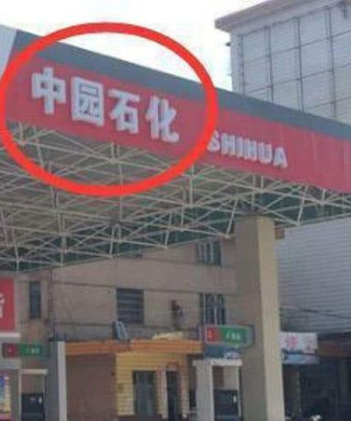 私营石化公司排名及行业洞察