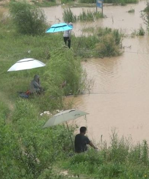 济南最新钓鱼地点推荐（XXXX年钓鱼指南）