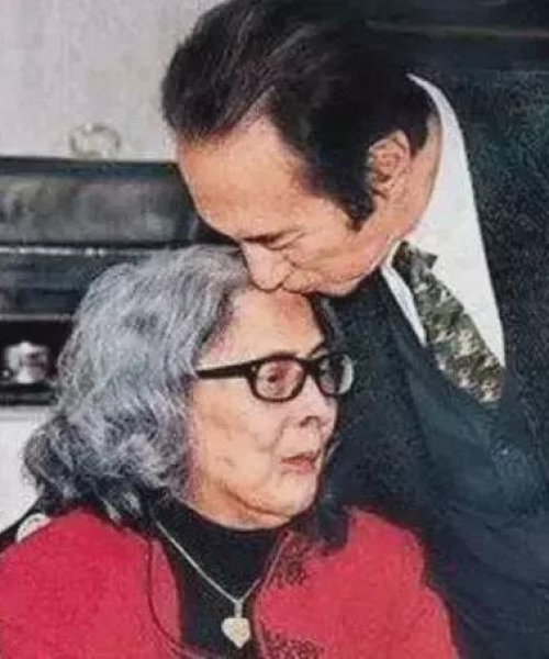 2004澳门天天开好彩大全｜专业解析说明