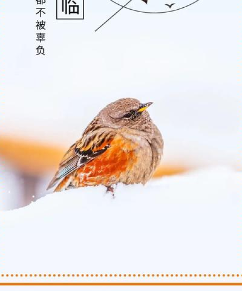 励志语录，不慌张的智慧与力量