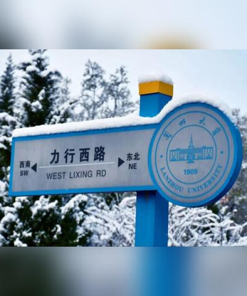 雪景中的坚韧与奋进，励志语录分享