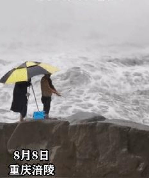 重庆水性燃料公司排名