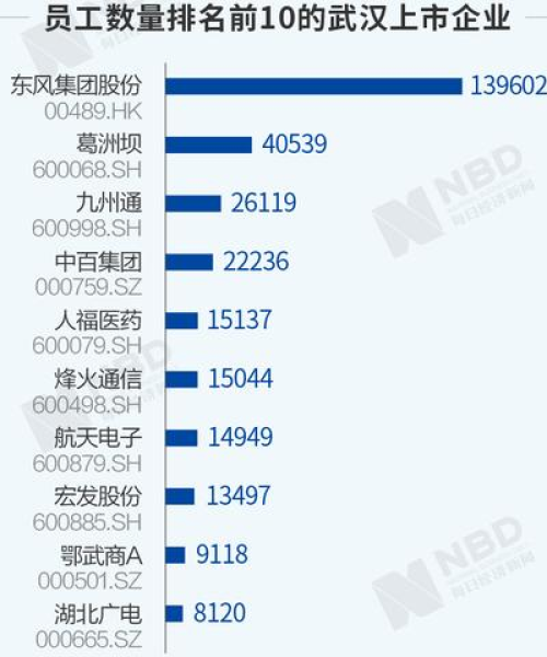 中国复工大公司的排名