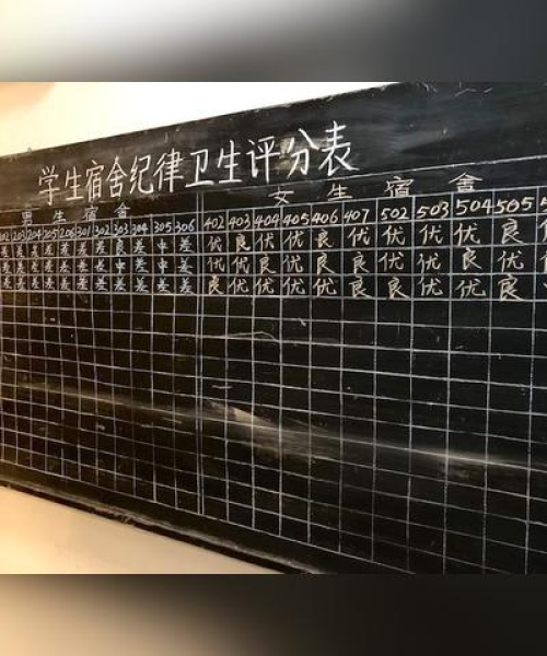 历年世界记忆大赛排名揭示人类记忆极限挑战之旅