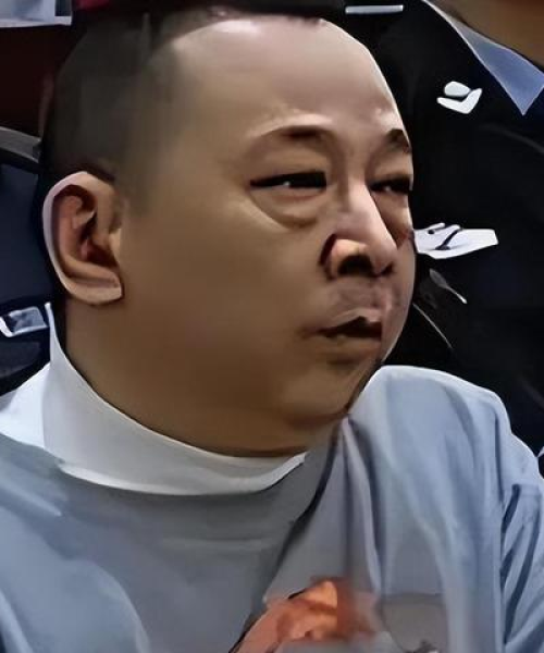 坠落再崛起，励志语录中的力量与希望