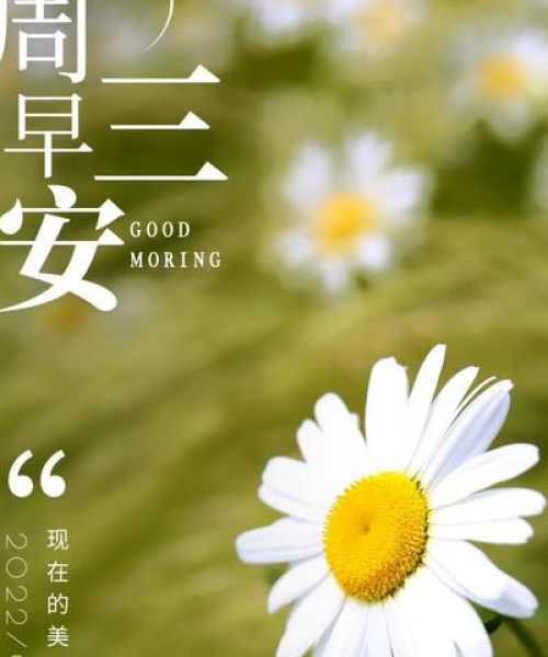 悲伤语录中的励志之光