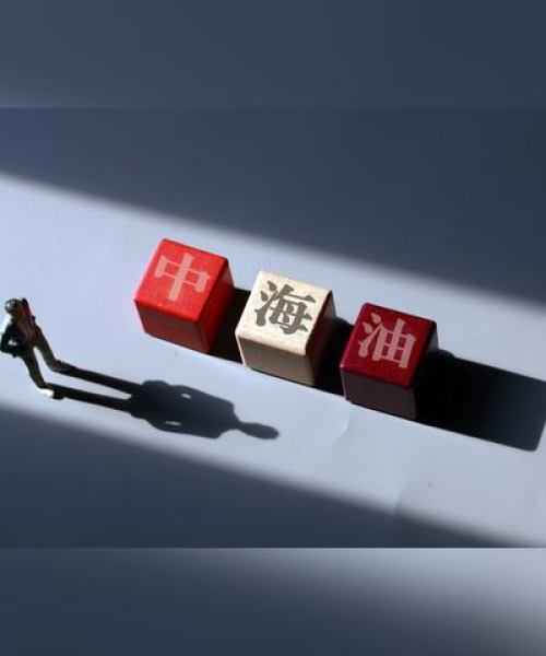 石化镇农村分红情况最新报告