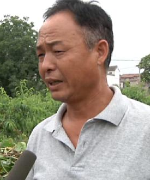 今日涉县要闻最新视频报道，科技创新与经济发展协同推进