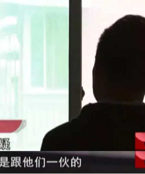 今日说法，最新假牌案件深度解析