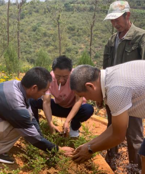 完美世界动漫榜排名——引领动漫新风尚