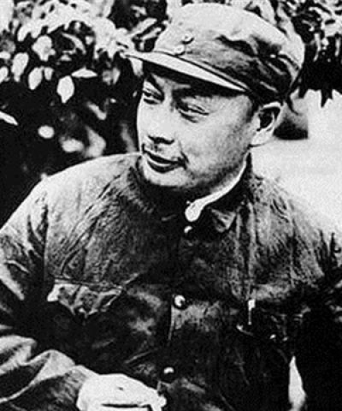 采椽不斫