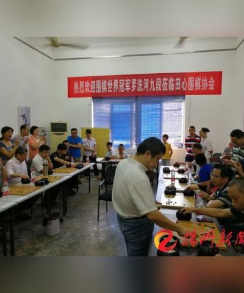 2016年世界围棋排名解析