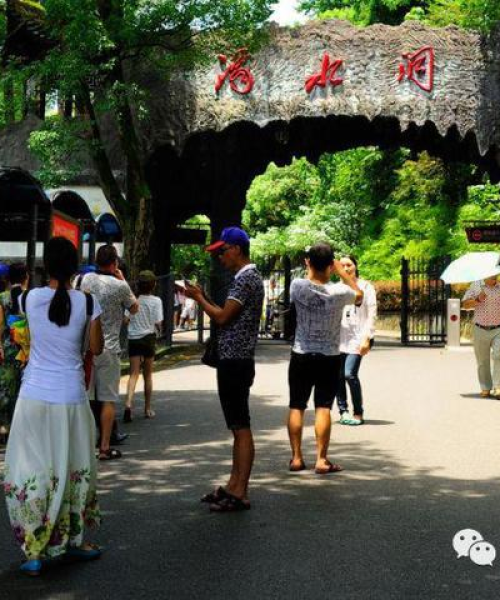 龙头山今日免票政策最新消息