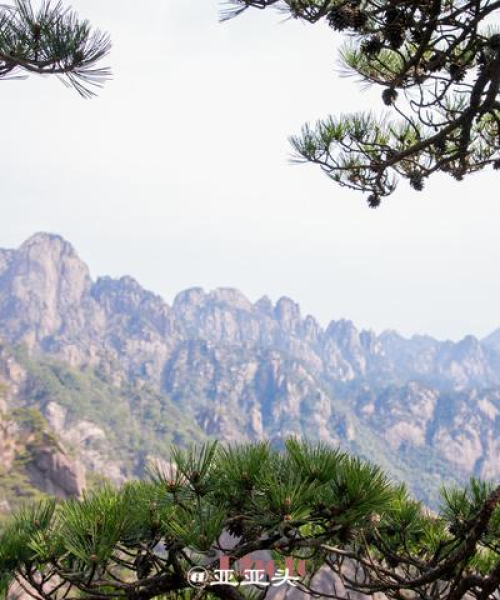 芜湖换乘最新通知，今日出发至上海列车换乘信息