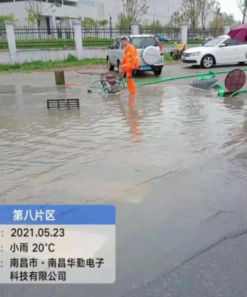 迷离马虎