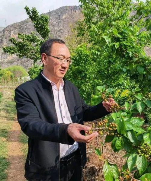 玉林山水别墅最新价格——尽享尊贵生活，品味优雅人生