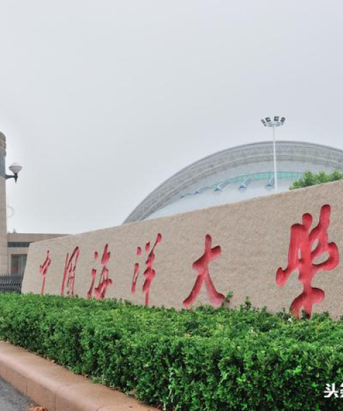世界工程管理公司排名